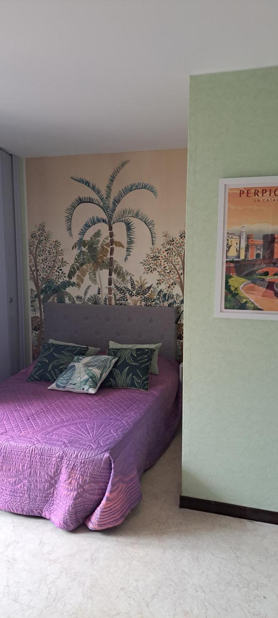 Studio Phannie Renove 50M Cures Amélie-les-Bains-Palalda Dış mekan fotoğraf