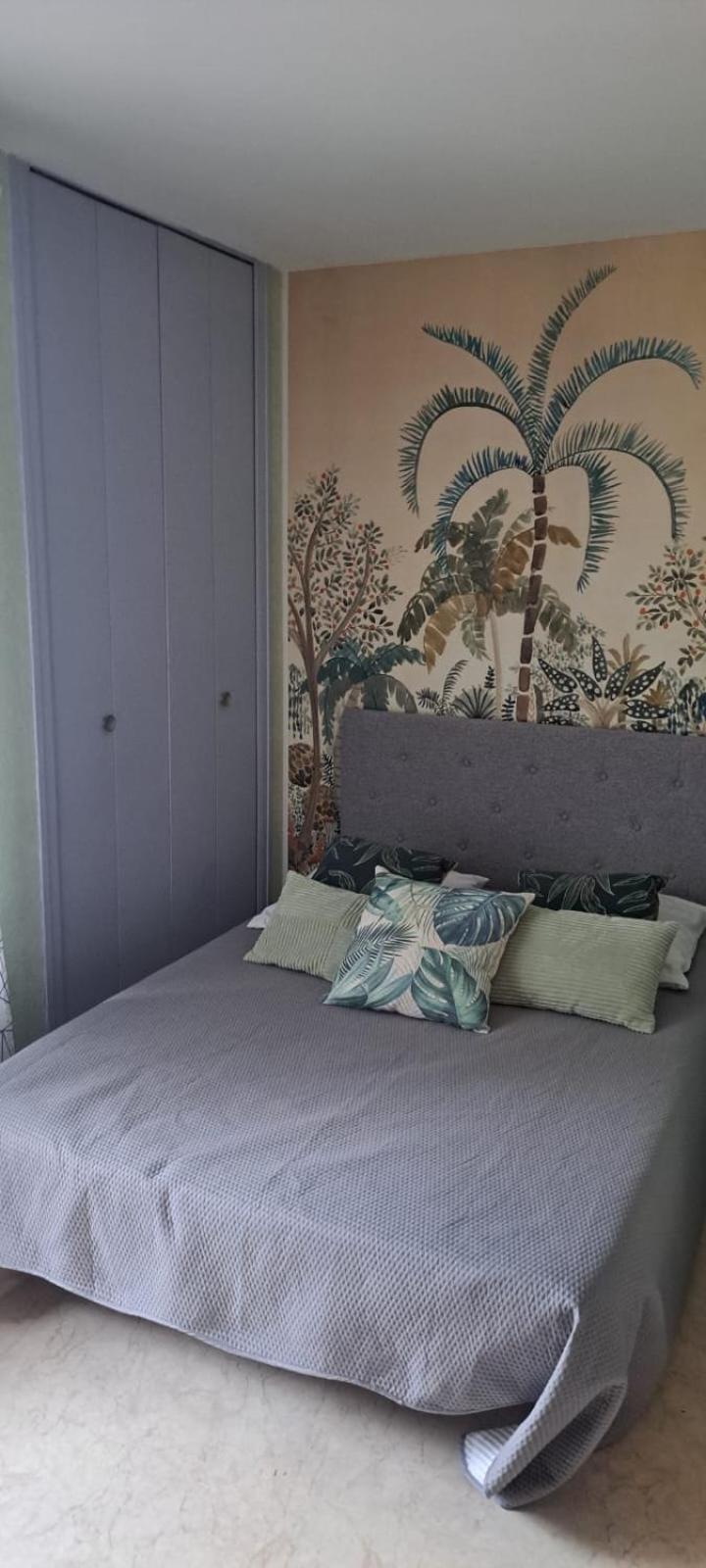 Studio Phannie Renove 50M Cures Amélie-les-Bains-Palalda Dış mekan fotoğraf