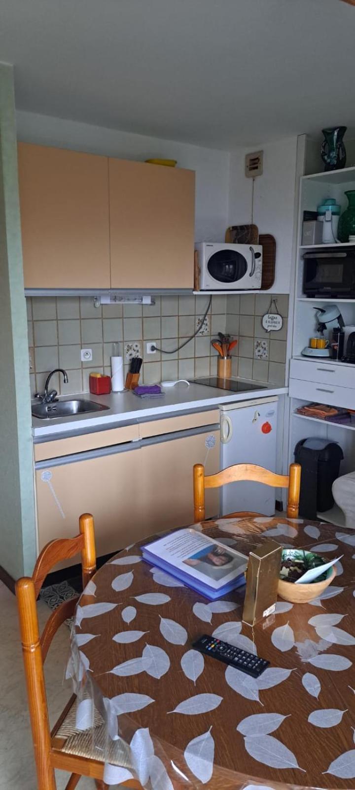 Studio Phannie Renove 50M Cures Amélie-les-Bains-Palalda Dış mekan fotoğraf