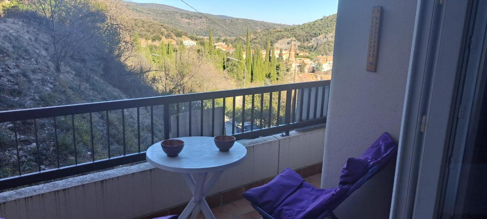 Studio Phannie Renove 50M Cures Amélie-les-Bains-Palalda Dış mekan fotoğraf